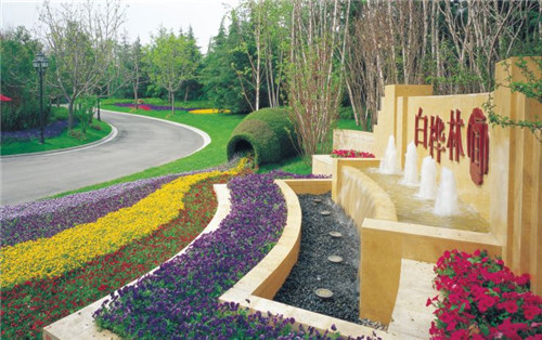 小區(qū)亮化客戶-白樺林間 小區(qū)亮化客戶-白樺林間