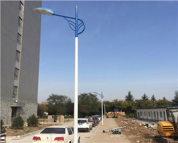 寧夏市電路燈-寧夏省西安市西北大學長安校區路燈工程